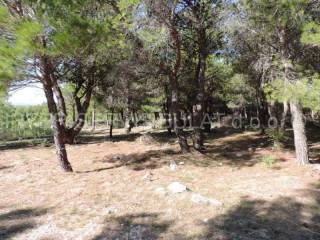 Plot for construction, Sale, Skradin, Piramatovci