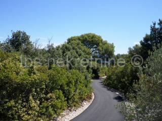 Agricultural land, Sale, Janjina, Sreser