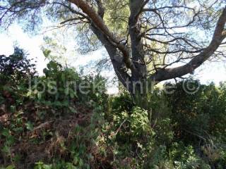 Agricultural land, Sale, Janjina, Sreser