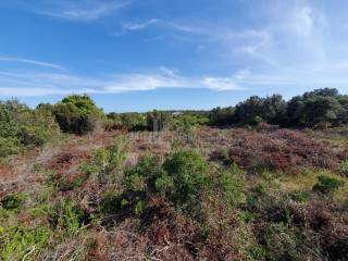 Plot for construction, Sale, Zadar, Zadar