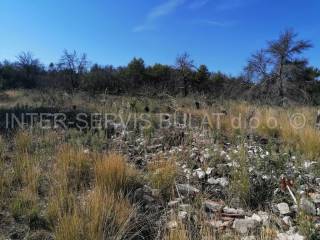 Agricultural plot, Sale, Šibenik - Okolica, Bilice
