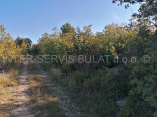 Agricultural plot, Sale, Šibenik - Okolica, Bilice