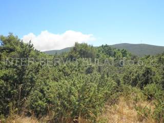 Plot for construction, Sale, Šibenik - Okolica, Konjevrate