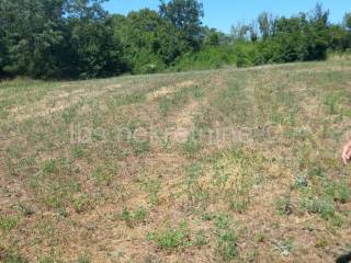 Plot for construction of mixed-use property, Sale, Sinj, Karakašica