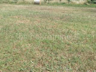 Plot for construction of mixed-use property, Sale, Sinj, Karakašica