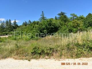 Plot for construction, Sale, Raša, Sveti Lovreč Labinski