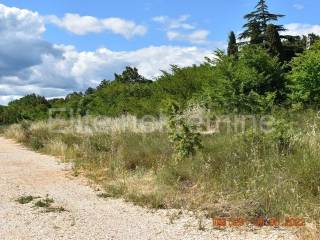 Plot for construction, Sale, Raša, Sveti Lovreč Labinski