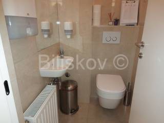 Clinic, Rent, Zagreb, Donji Grad