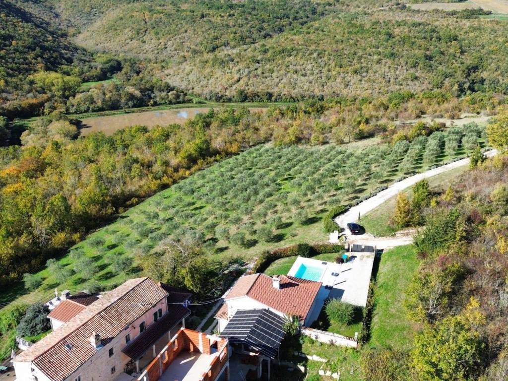 Brkač-kuća i okolica