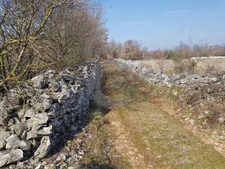 Plot for construction, Sale, Svetvinčenat, Smoljanci