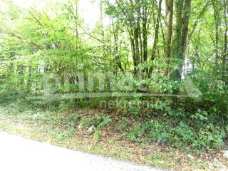 Plot for construction of mixed-use property, Sale, Josipdol, Oštarije