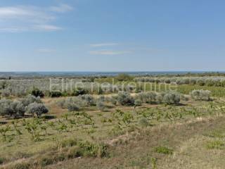 Plot for construction, Sale, Vodnjan, Vodnjan