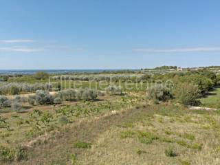 Plot for construction, Sale, Vodnjan, Vodnjan