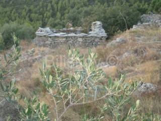 Land, Sale, Korčula, 9700m²