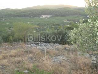 Land, Sale, Korčula, 9700m²