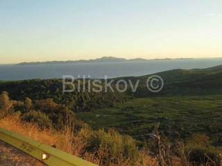 Land, Sale, Korčula, 9700m²