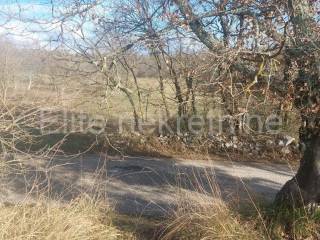 Plot for construction, Sale, Grožnjan, Grožnjan