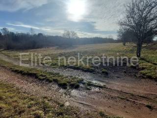 Plot for construction, Sale, Grožnjan, Grožnjan