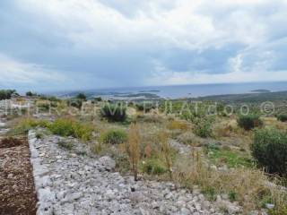 Poljoprivredno gospodarstvo, Prodaja, Rogoznica, Oglavci