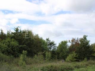 Plot for construction, Sale, Žminj, Žminj