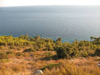 Land, Sale, Hvar, 17698m²