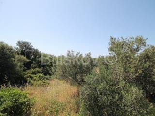 Plot for construction of mixed-use property, Sale, Seget, Seget Vranjica