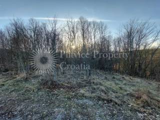 Agricultural plot, Sale, Slunj, Videkić Selo