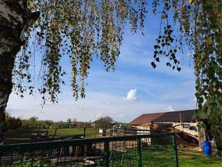 Agricultural plot, Sale, Petrijanec, Majerje
