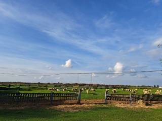 Agricultural plot, Sale, Petrijanec, Majerje