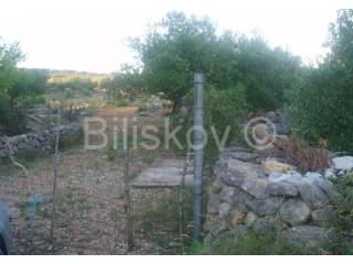 Land, Sale, Milna, 17699m²