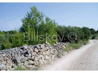 Land, Sale, Milna, 17699m²