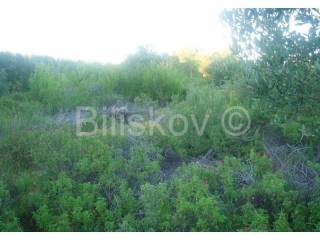 Land, Sale, Milna, 17699m²