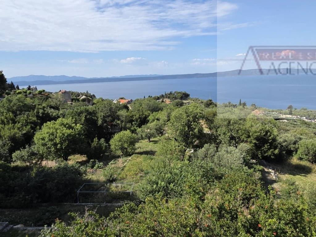 Podgora, Podgora