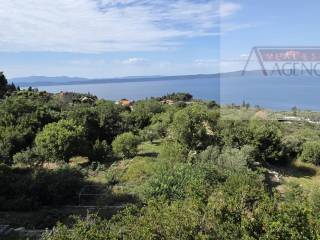 Podgora, Podgora