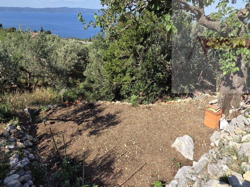 Podgora, Podgora