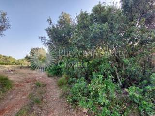 Plot for construction, Sale, Pašman, Ždrelac