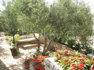 Detached house, Sale, Šolta, Maslinica