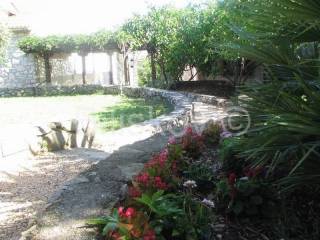 Detached house, Sale, Šolta, Maslinica