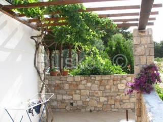 Detached house, Sale, Šolta, Maslinica