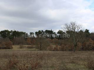 Plot for construction, Sale, Svetvinčenat, Svetvinčenat