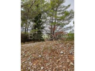 Construction plot for commercial properties, Sale, Bol, Bol