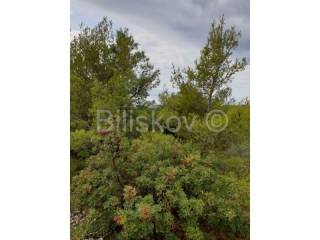 Construction plot for commercial properties, Sale, Bol, Bol