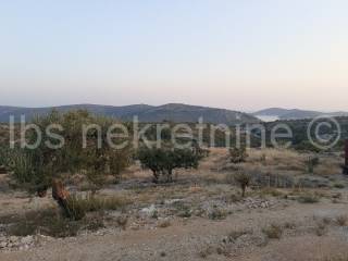 Agricultural plot, Sale, Rogoznica, Jarebinjak