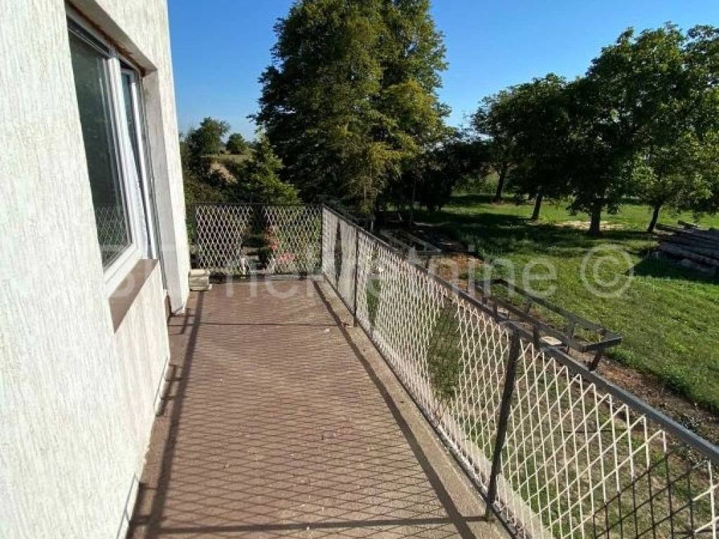 Novigrad Podravski, Novigrad Podravski