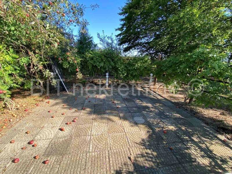 Novigrad Podravski, Novigrad Podravski