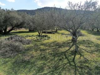 Agricultural plot, Sale, Tisno, Dazlina