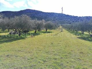 Poljoprivredno zemljište, Prodaja, Tisno, Dazlina