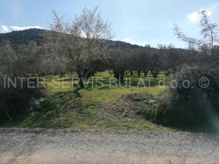 Poljoprivredno zemljište, Prodaja, Tisno, Dazlina
