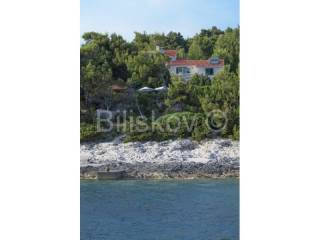First to the sea, Sale, Vela luka, Vela Luka