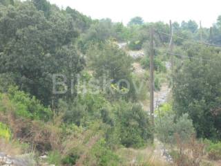 Land, Sale, Vela luka, 1000m²